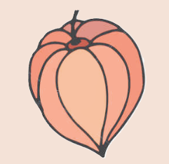 Atelier Lucille Maillet